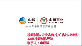 匯影傳奇——文化傳播中的優質宣傳片配音專家